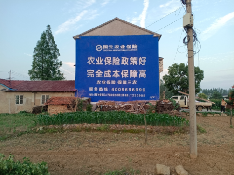 洋县墙体广告的优劣势你知道吗？