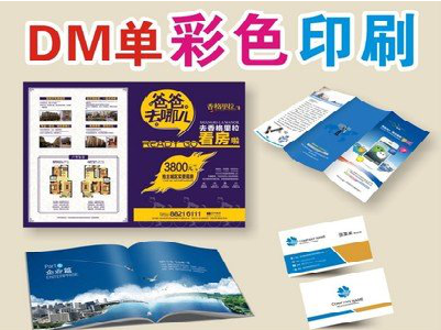 洋县单页印刷，色彩搭配简单。
